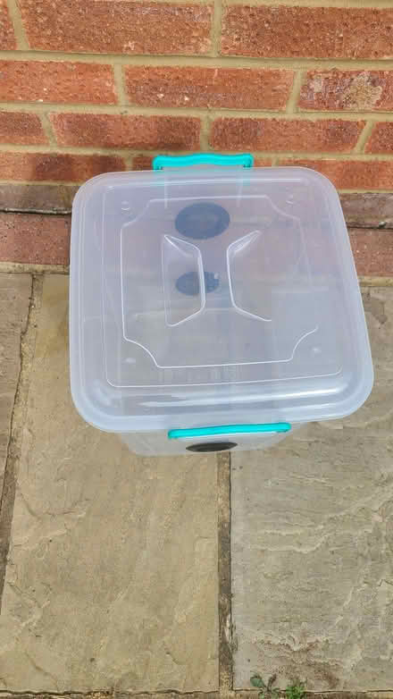 Photo of free Vivarium, stick insect tank (Woodley RG5) #2