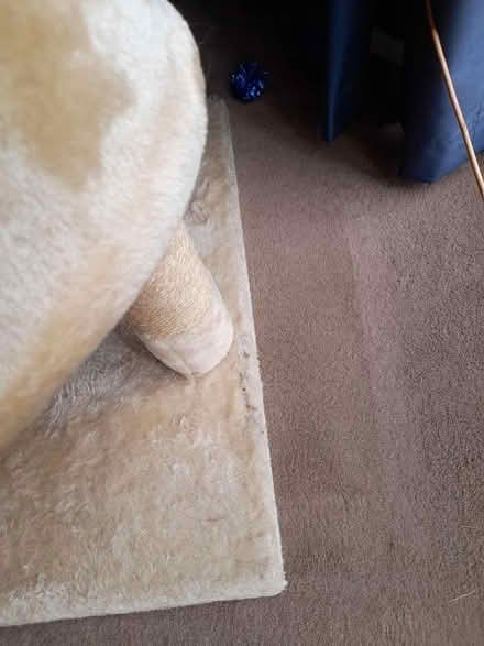 Photo of free Small cat tree (Kings Heath, B13) #2