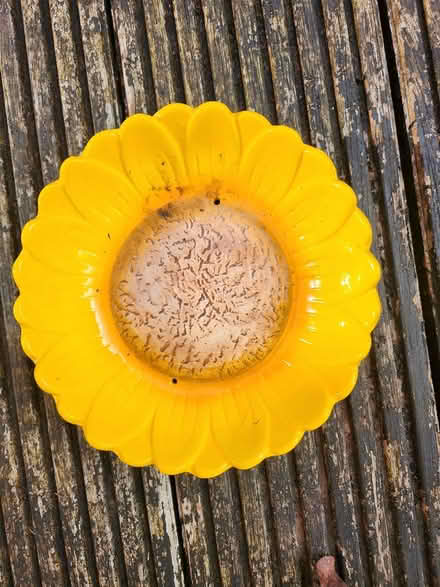 Photo of free Sunflower bird feeder (Winchester SO22) #1