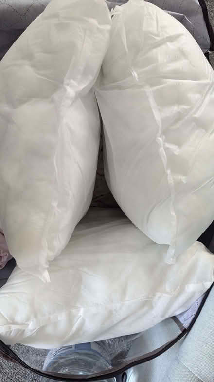 Photo of free Three cushion inserts (Cherry Hinton Ward CB1) #1