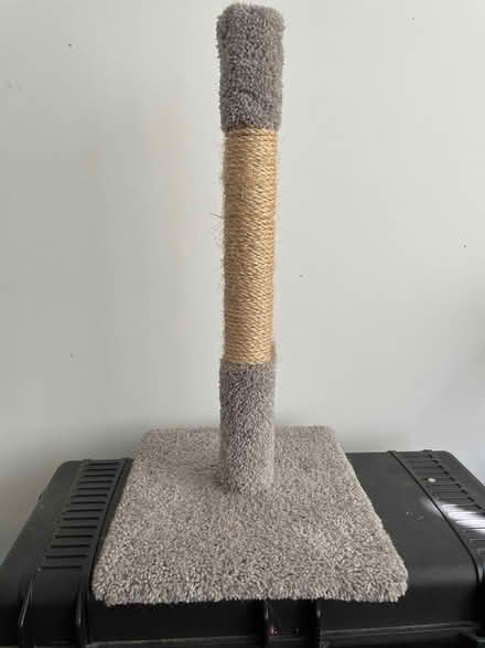 Photo of free Like New Cat scratching post (Westboro) #1
