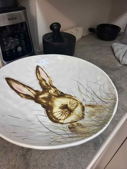 Photo of free Large dish (Woodford Green) #1