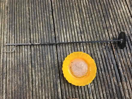 Photo of free Sunflower bird feeder (Winchester SO22) #3