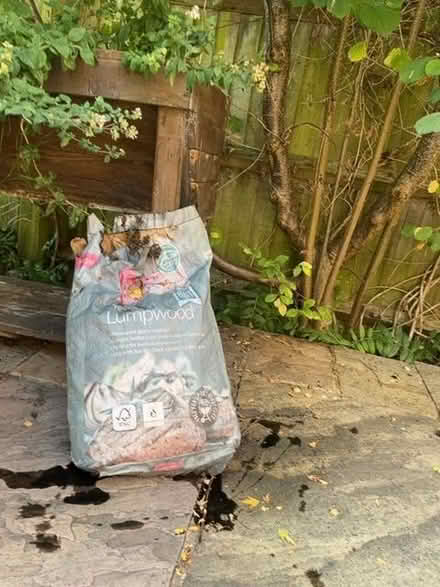 Photo of free Half a bag of lump wood charcoal (Charlton OX12) #1