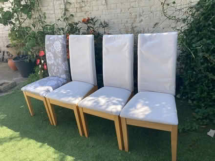 Photo of free 4 dining chairs - need re-covering (Twickenham TW1) #1