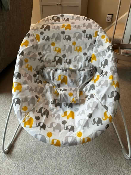Photo of free Baby bouncer (Oughtibridge S35) #1
