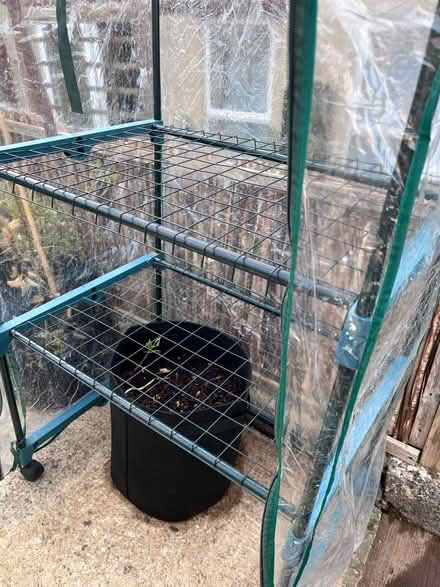 Photo of free Small plastic greenhouse (BA2) #4
