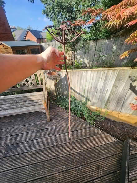 Photo of free Decorative metal garden sculpture (Winchester SO22) #3
