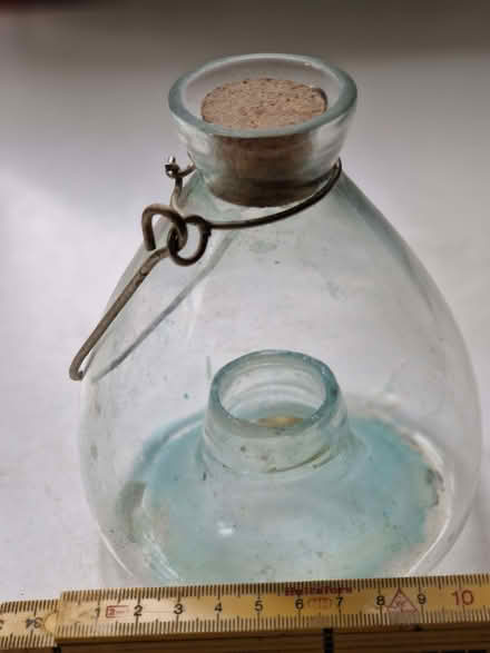 Photo of free Wasp Catcher (CT2) #1