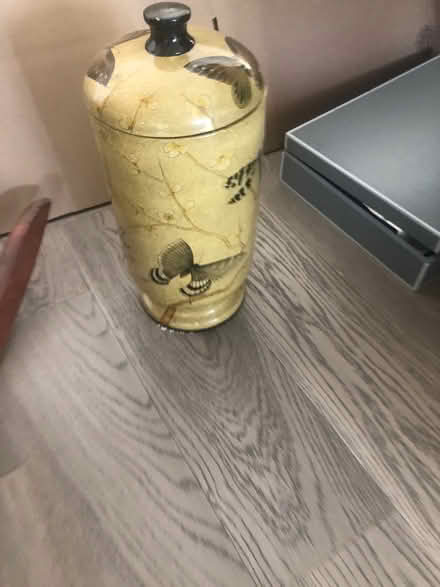 Photo of free Dragon fly container (Britannia & Creditview) #3