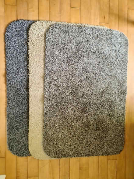 Photo of free Small Turtle mats (Thames Ditton KT7) #1