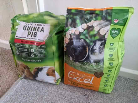 Photo of free Guinea pig nuggets with mint (Springfield SY2) #1