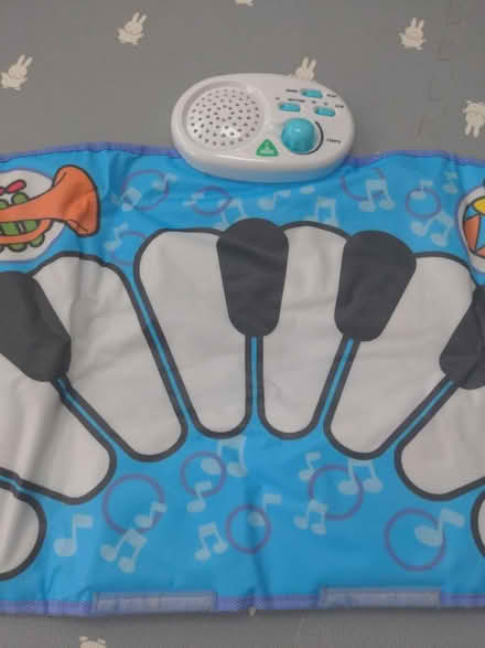 Photo of free Piano mat for babies (Honor oak) #2