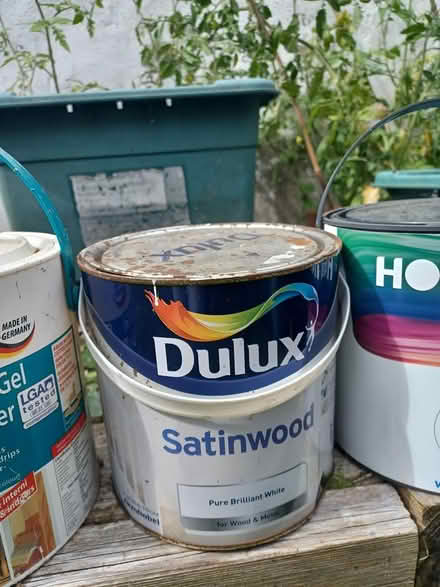 Photo of free Old Paint (Florence Park OX4) #2