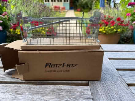 Photo of free Humane Rat Trap (Hildenborough TN11) #1
