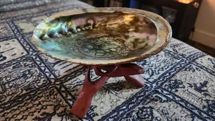 Photo of free Abalone shell & display (Kew Gardens Queens) #1