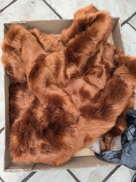 Photo of free Red/brown thick fur (Lea preston) #1