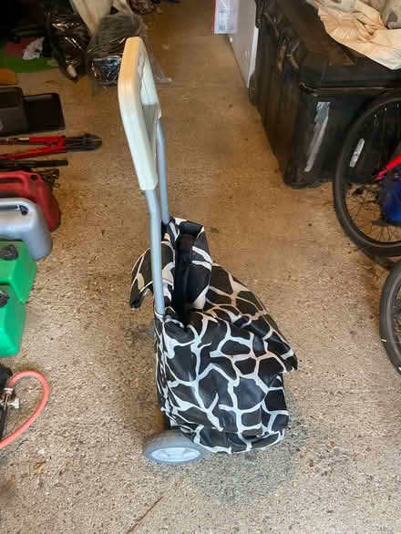 Photo of free Shopping trolley (Linslade LU7) #1