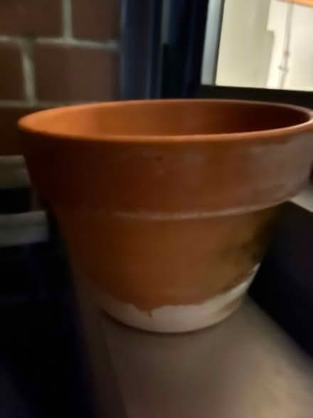 Photo of free Clay Pots (UES) #2