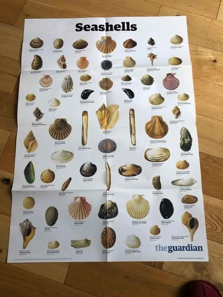 Photo of free Nature posters A4 to A1 size (Earlsdon CV5) #1