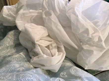 Photo of free Continental (Metric) size Fitted Sheet (Southborough TN4) #1
