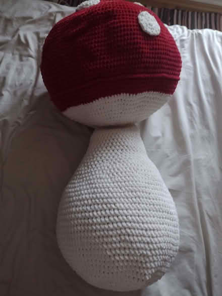 Photo of free Very large mushroom cuddle cushion (John Lea area NN8) #1