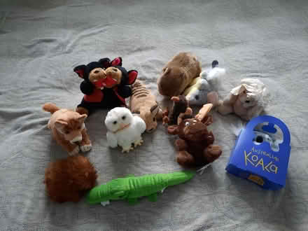 Photo of free Soft toys (Butetown CF10) #1