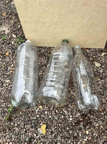 Photo of Plastic bottles (St Nicholas SG1) #1