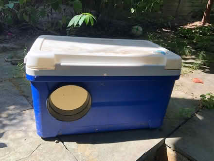 Photo of free Cat shelter made from cooler (Mount pleasant) #1