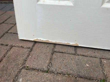 Photo of free Doors (Frimley green GU16) #2
