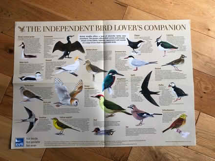 Photo of free Bird posters and RSPB identification booklet (Earlsdon CV5) #1