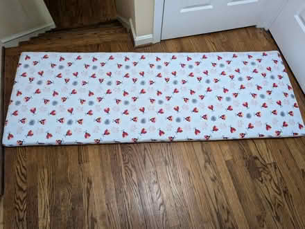 Photo of free Cushion (Derwood) #1
