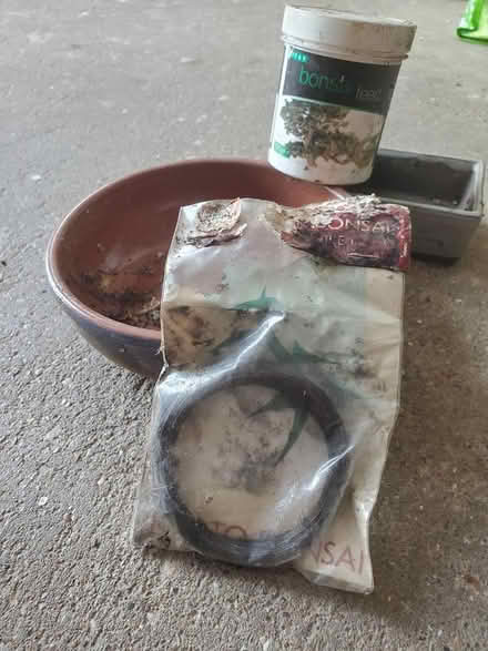 Photo of free Bonsai stuff (Totterdown, Bristol) #1
