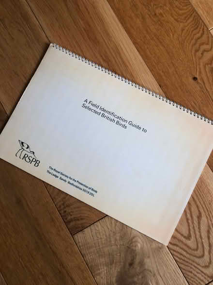 Photo of free Bird posters and RSPB identification booklet (Earlsdon CV5) #2