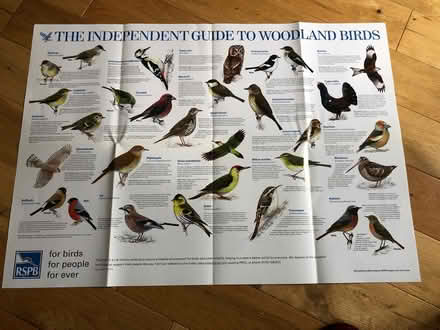 Photo of free Bird posters and RSPB identification booklet (Earlsdon CV5) #4