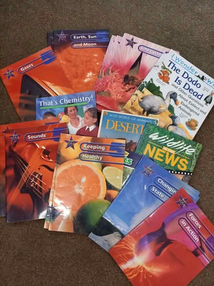 Photo of free A dozen bags/boxes of second-hand children's books (Upper Radley OX14) #1