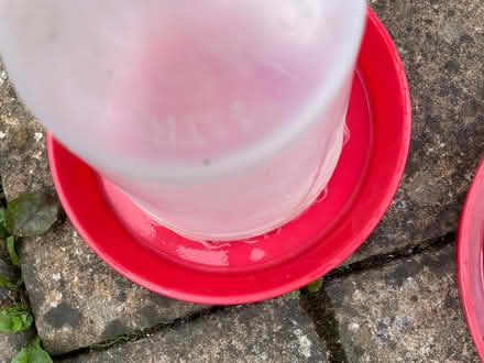 Photo of free Poultry feeders (Fulwood S10) #2
