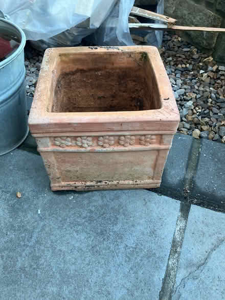 Photo of free Terracotta planter (Bingley BD16) #1