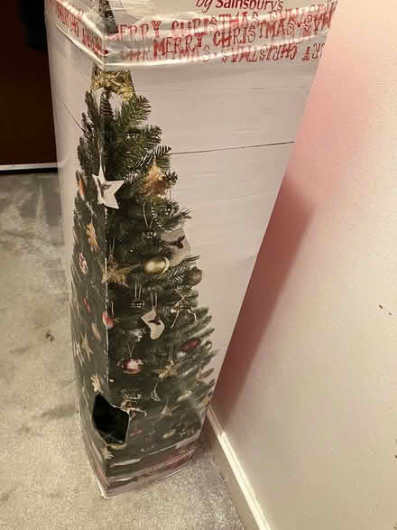 Photo of free 6ft Christmas Tree (Kenilworth CV8) #2