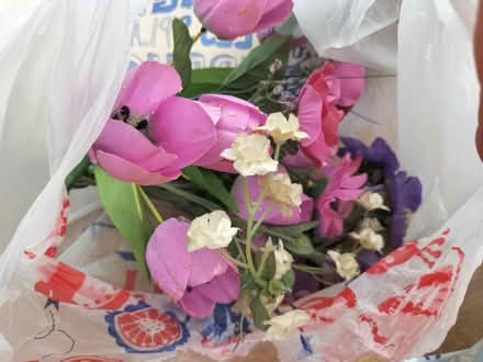 Photo of free Plastic flowers decoration (Truro, Tresillian, TR2) #3