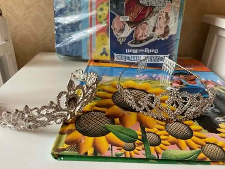 Photo of free Children’s books n tiaras (BH23) #2