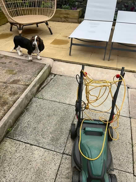 Photo of free Lawnmower, no back box, in working order. (Firgrove OL16) #2