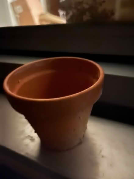 Photo of free Clay Pots (UES) #1
