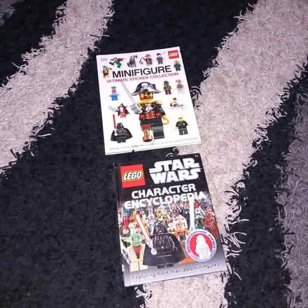 Photo of free 2 x LEGO books part used (Hitchin SG5) #1