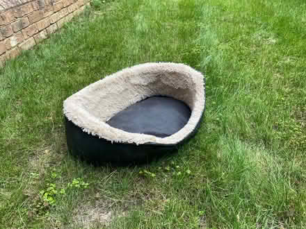 Photo of free Puppy or Kittens Bed (Finchampstead RG40) #2