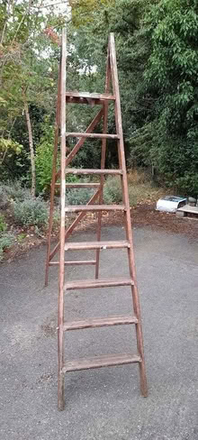Photo of free Wooden Platform Steps (Woodbridge IP12) #2