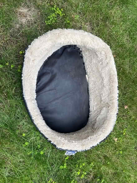 Photo of free Puppy or Kittens Bed (Finchampstead RG40) #1