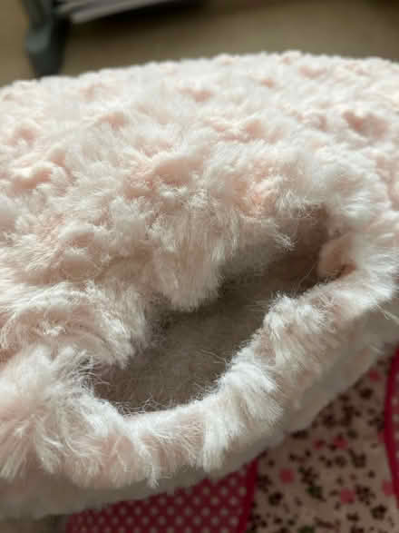 Photo of free Pink Cushions (Minchinhampton) #2