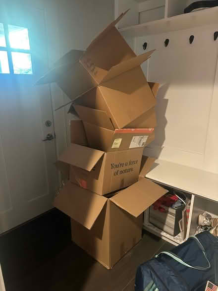 Photo of free Lots of boxes and bubble wrap (01243) #2