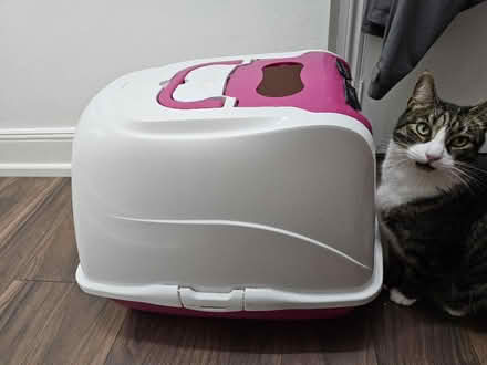 Photo of free Large hooded cat toilet (Finchley N32) #3